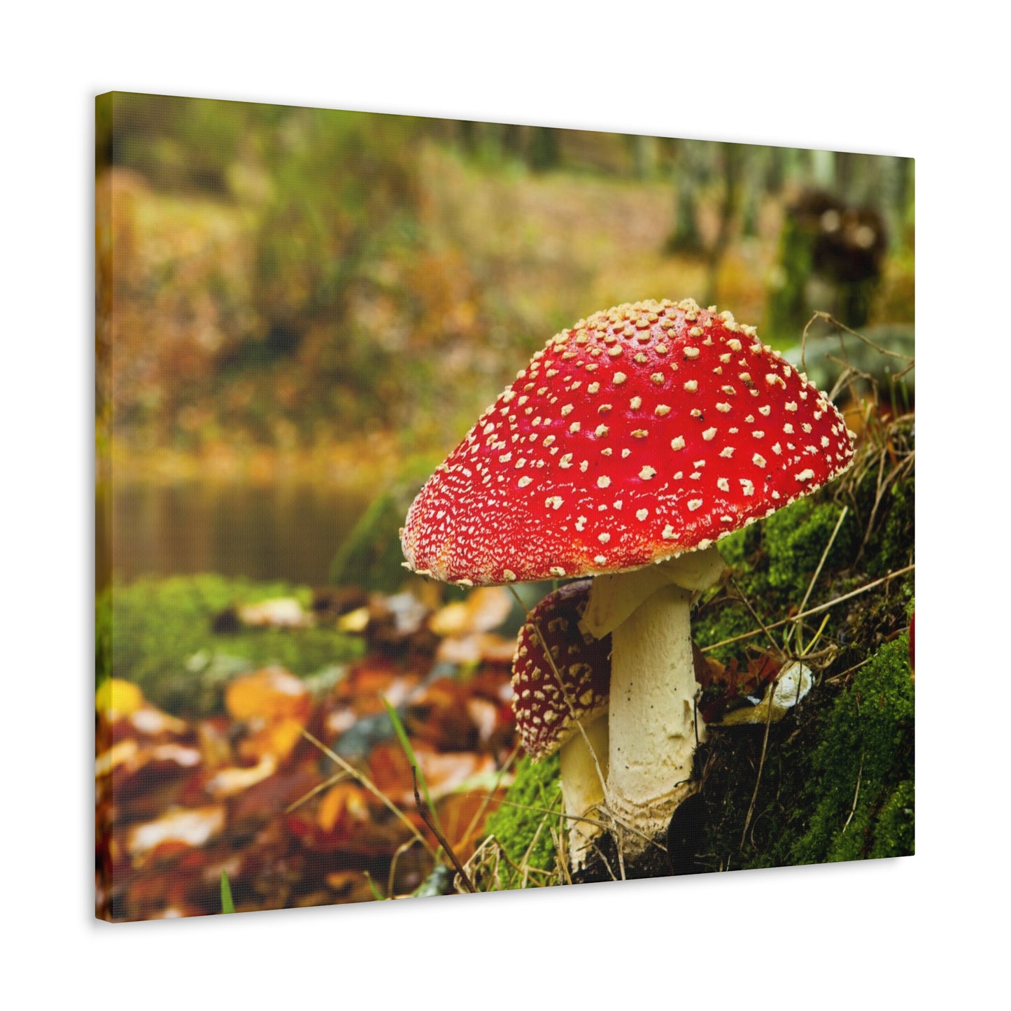 Mushroom wall art decor canvas