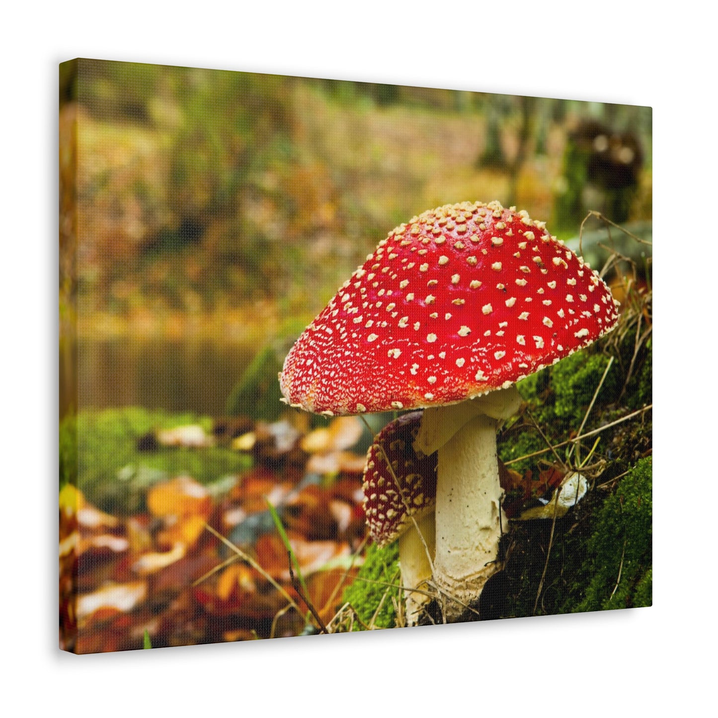 Mushroom wall art decor canvas