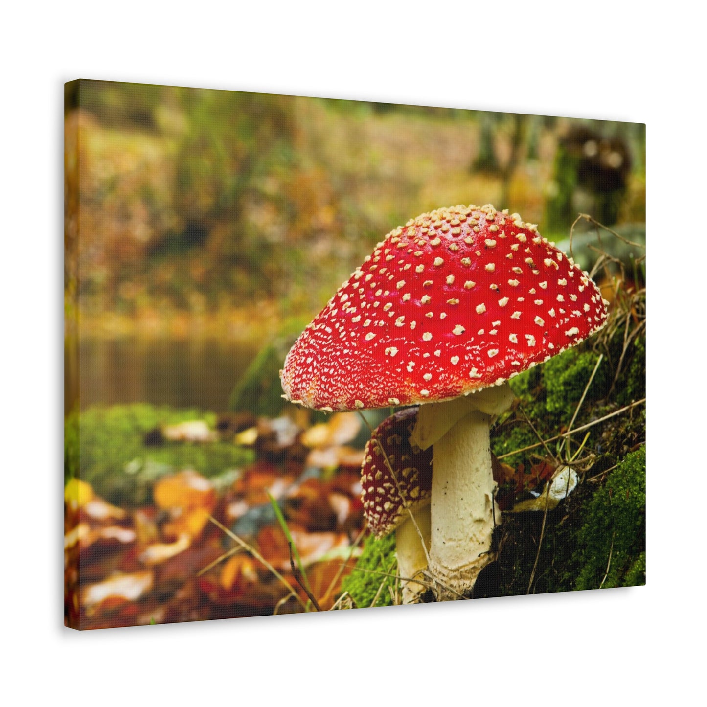 Mushroom wall art decor canvas