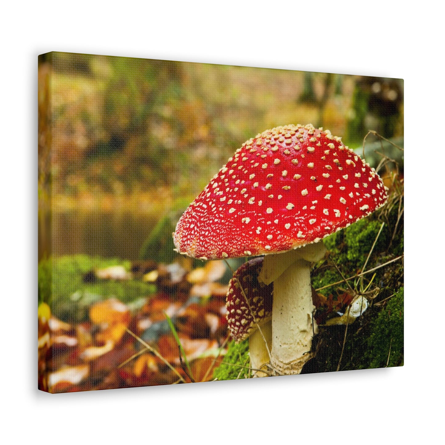 Mushroom wall art decor canvas