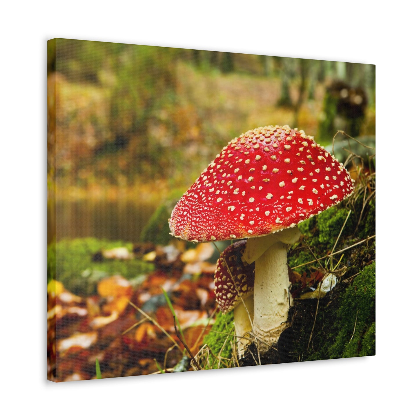 Mushroom wall art decor canvas