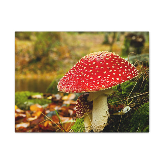 Mushroom wall art decor canvas