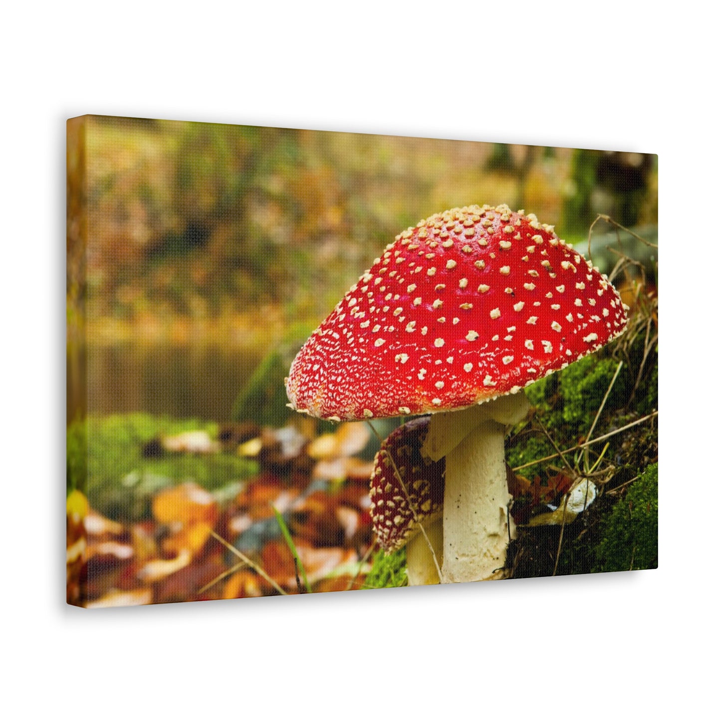 Mushroom wall art decor canvas